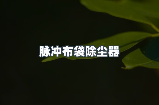 脉冲布袋除尘器